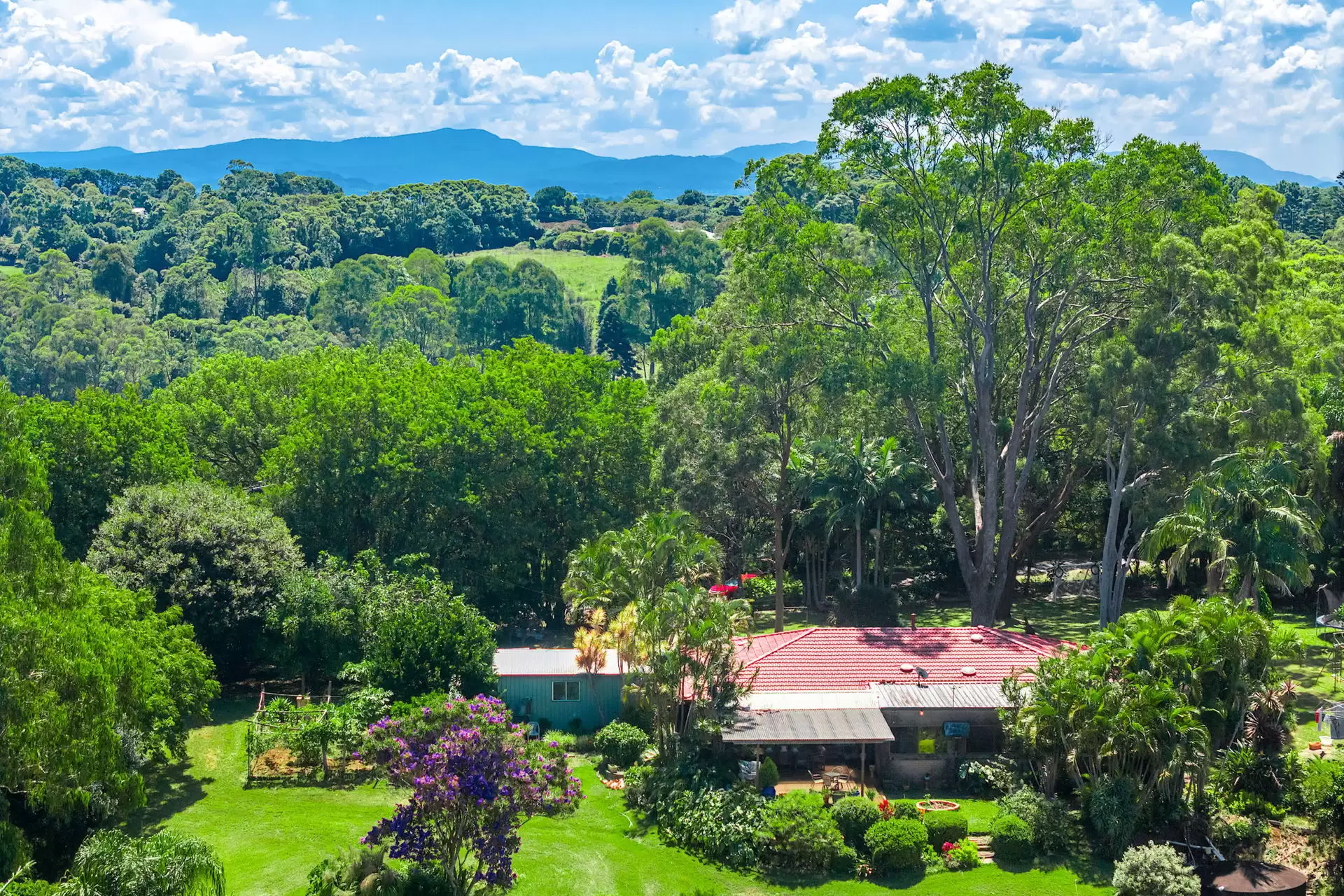 Photo #7: 426 Old Byron Bay Road, Newrybar - For Sale by Byron Bay Sotheby's International Realty