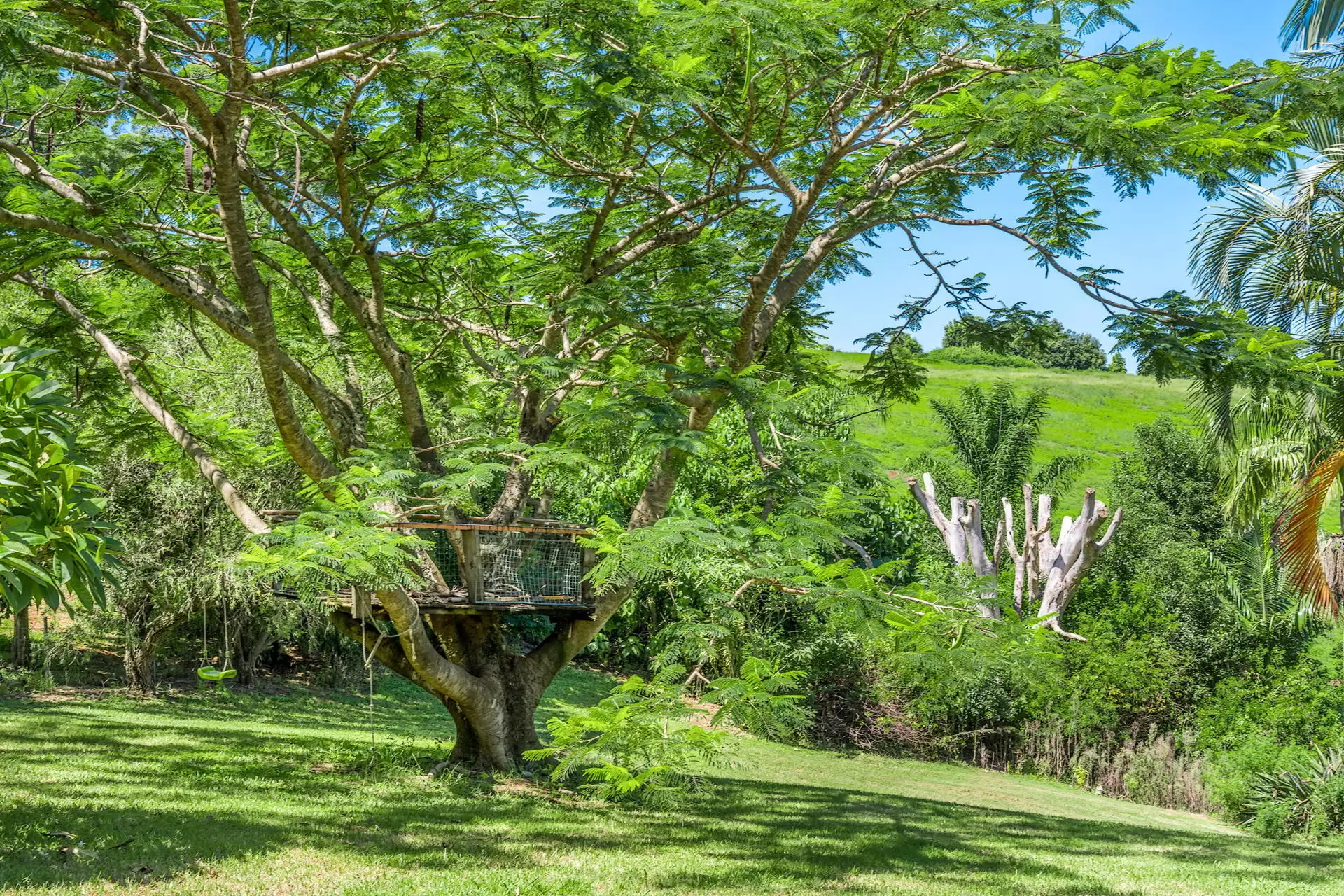 Photo #5: 426 Old Byron Bay Road, Newrybar - For Sale by Byron Bay Sotheby's International Realty